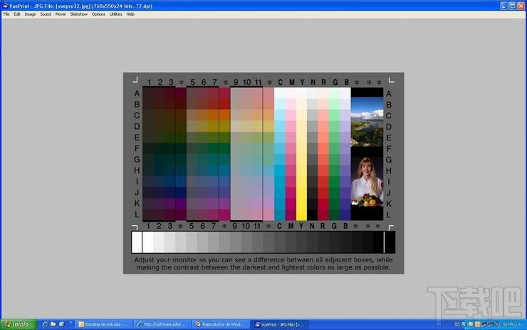 VuePrint Pro,VuePrint Pro下载,VuePrint Pro(图像浏览工具)官方下载