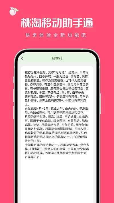 桃淘移动助手通官方版下载,桃淘移动助手通,工具app,插件app