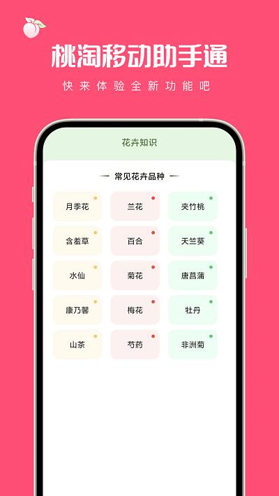 桃淘移动助手通官方版下载,桃淘移动助手通,工具app,插件app